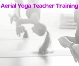 Aerial Yoga Teacher Training